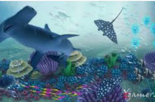 pg国际2024最新版